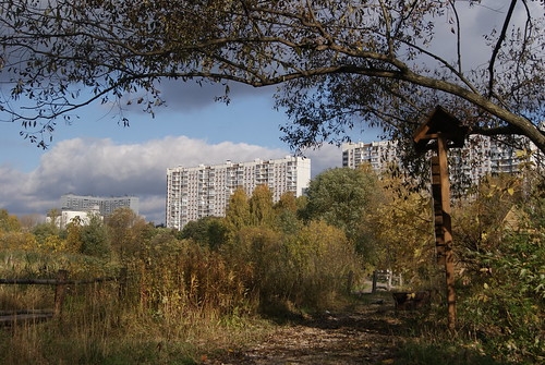 Small Footsteps & The Feast: Visit to EcoPark